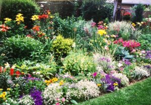 Petals – Garden Care & Maintenance